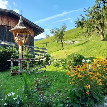 Almhof Grub Villa Wagrain Exterior photo